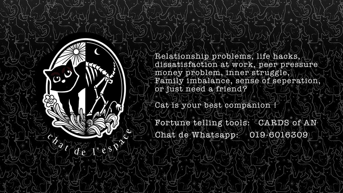 Card Reading - Ask cat a Question